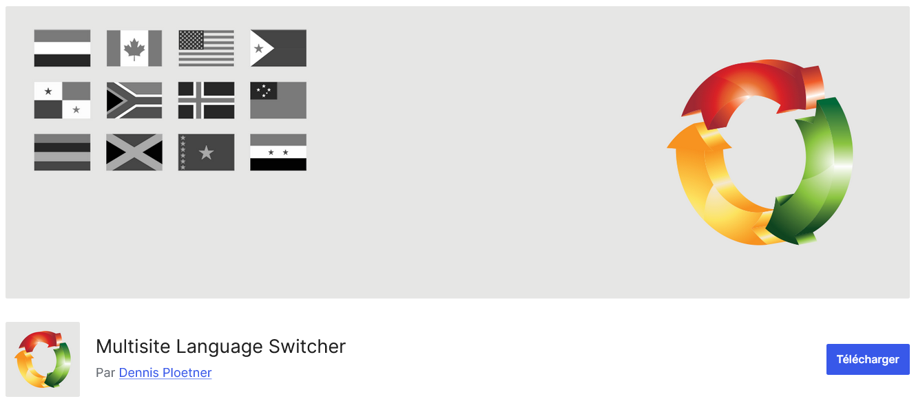 multisite language switcher